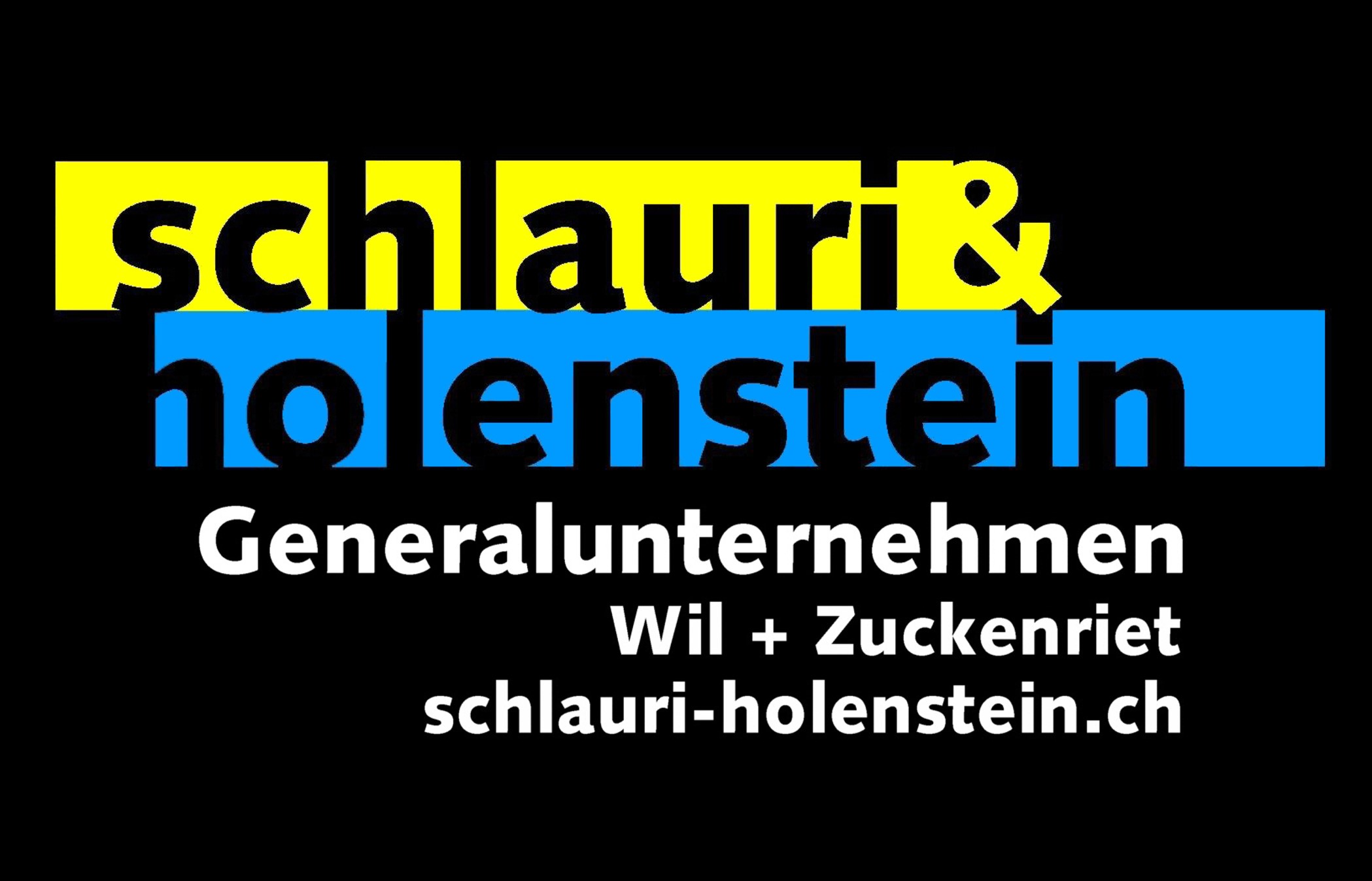 Logo_Schlauri-Holenstein_col.jpg