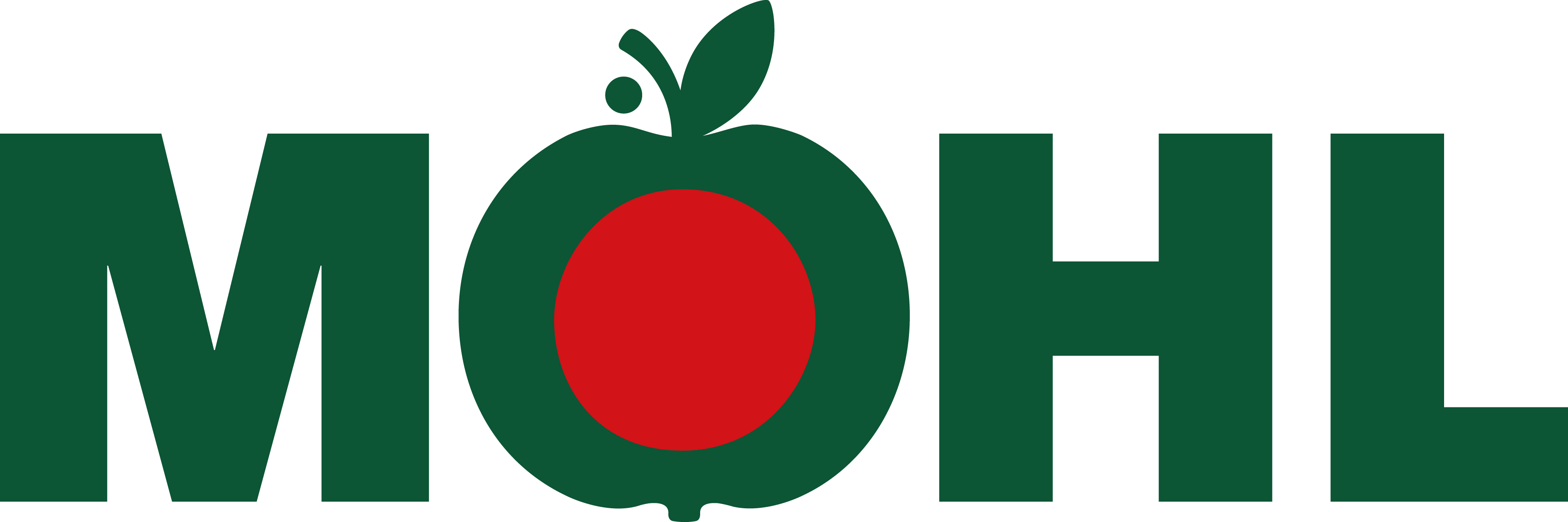 Logo_Moehl_col.png